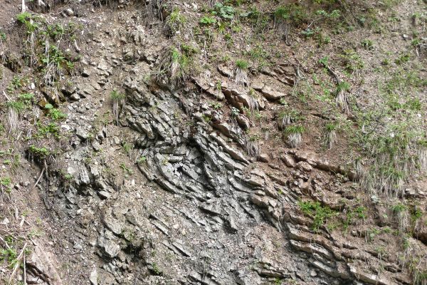 Geo-Pfad Obere Ampelsbach-/Filzmoosbach-Schlucht: Ammergauer Schichten mit (gegenläufiger) Falte und Verwerfung