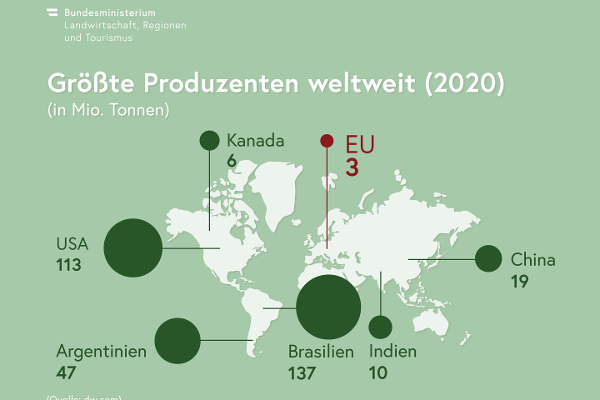 Infografik: Größte Soja-Produzenten weltweit in Millionen Tonnen. Brasilien 137, USA 113, Argentinien 47, China 19, Indien 10, Kanada 6, EU 3. Quelle: dw.com