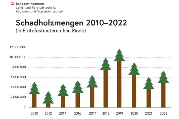 Schadholzanfall seit 2010