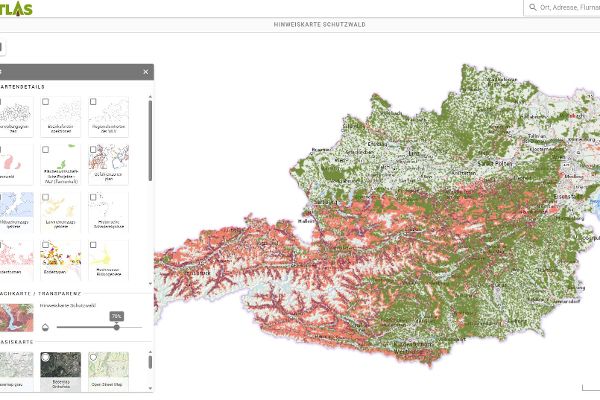 Geodatenplattform WALDATLAS - Hinweiskarte Schutzwald in Österreich mit Auswahl von GIS Überlagerungen