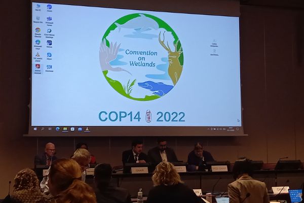 Auf Leinwand Logo mit der Aufschrift Convention on Wetlands. COP14 2022
