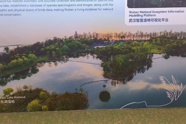 Landschaftsbild von Wuhan mit Text und hervorgehobener Aufschrift Wuhan Wetland Ecosystem Information Modelling Plattform