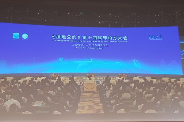 Konferenzraum in Wuhan