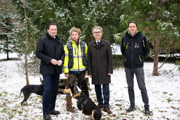 Sniffer dogs against forest pests