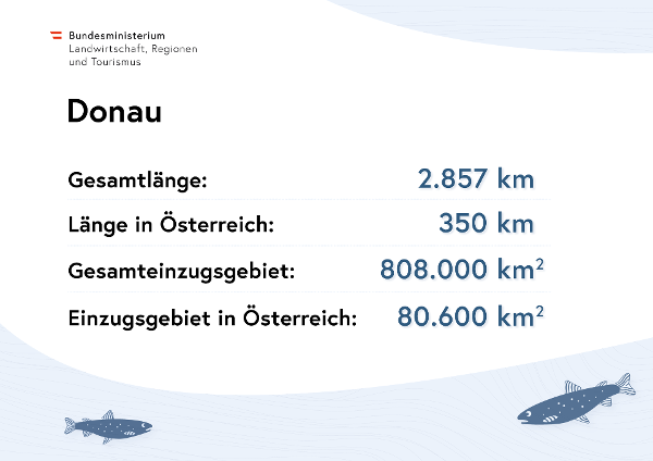 Donau: Gesamtlänge 2.857 Kilometer, Länge in Österreich 350 Kilometer, Gesamteinzugsgebiet 808.000 Quadratkilometer, Einzugsgebiet in Österreich 80.600 Quadratkilometer