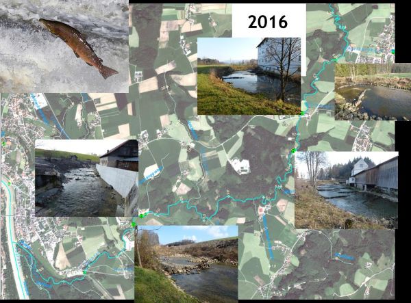 In einer Collage wird der Verlauf des Flusses auf einer Karte mit verschiedenen Fotos dargestellt.