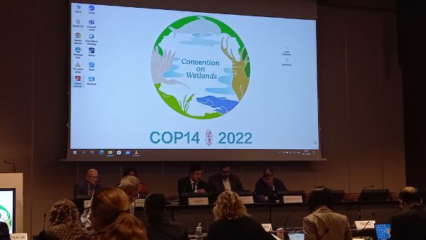 Auf Leinwand Logo mit der Aufschrift Convention on Wetlands. COP14 2022