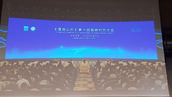 Konferenzraum in Wuhan