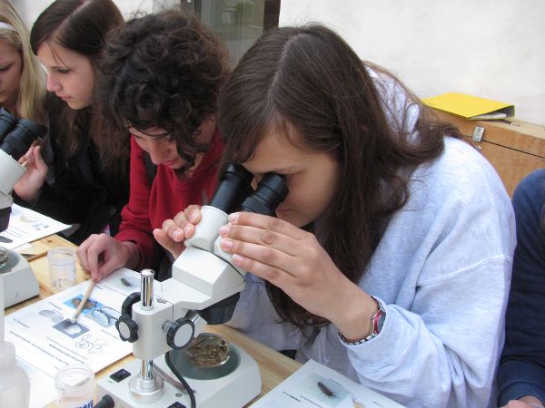 Mikroskopieren beim "Girls Day"