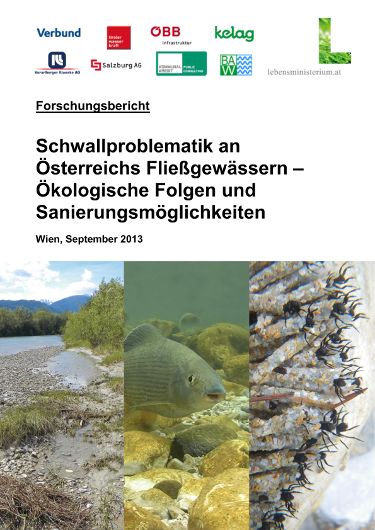 Bericht - Schwallproblematik an österr. Fließgewässern - 19122013