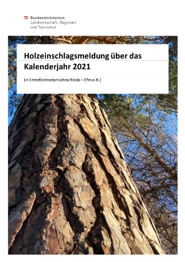 Holzeinschlagsmeldung 2021