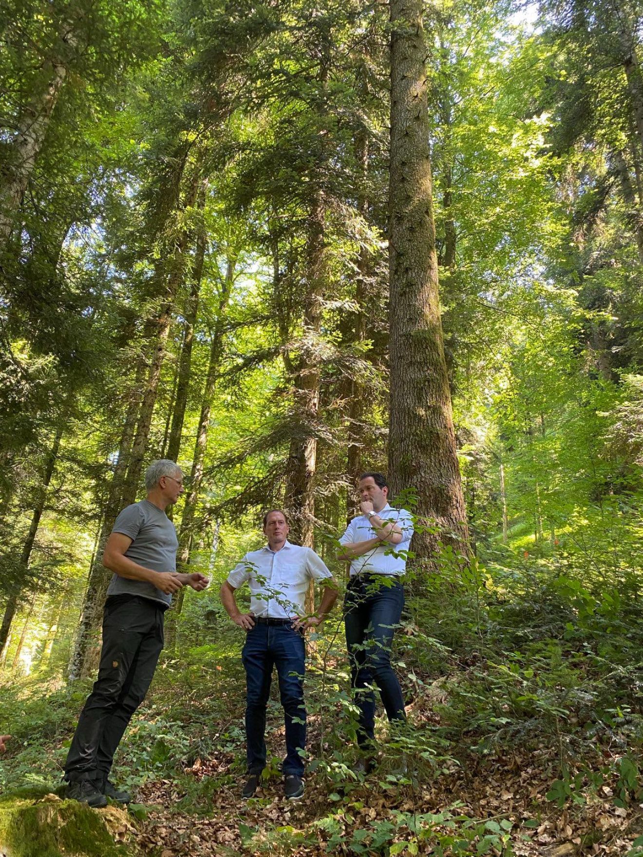 Gemeinsam mit LK-Pr&auml;sident Josef Moosbrugger hat sich Landwirtschaftsminister Norbert Totschnig im Plenterwald am Schweizberg pers&ouml;nlich ein Bild von den Wirkungen des Waldfonds gemacht.