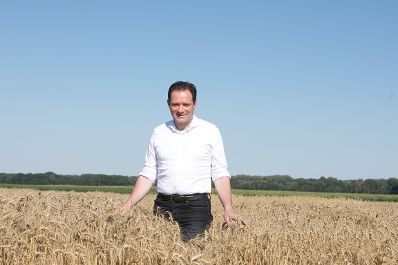 Lebensmittelversorgungssicherheit: Landwirtschaftsminister Norbert Totschnig besuchte zwei Unternehmen der Saatgutwirtschaft in Probstdorf. &Ouml;sterreich produziert sein gesamtes Getreide-Saatgut selbst und ist nicht von Importen abh&auml;ngig.