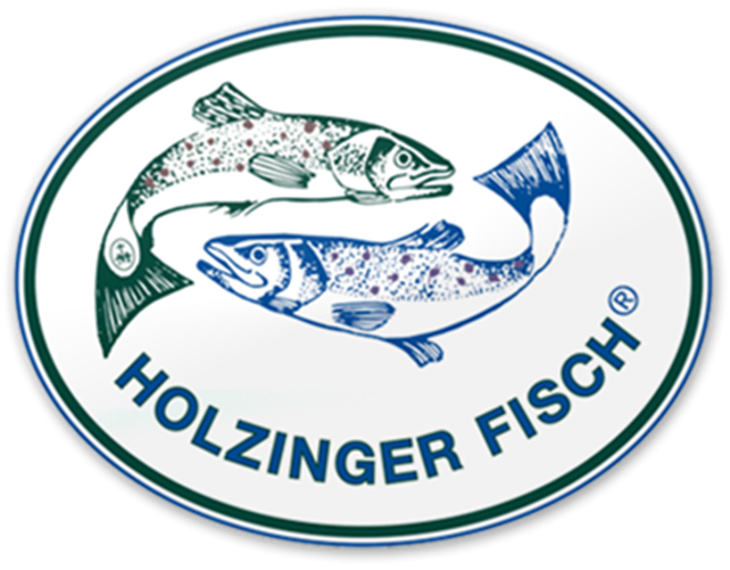 Holzinger logo