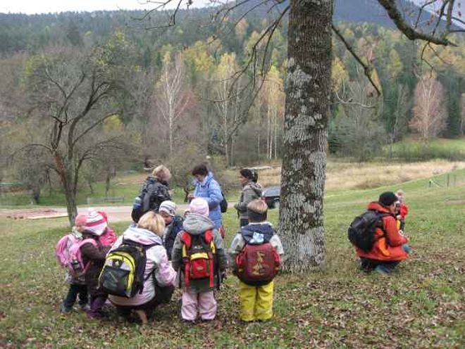 Mehrere Kinder erkunden den Wald
