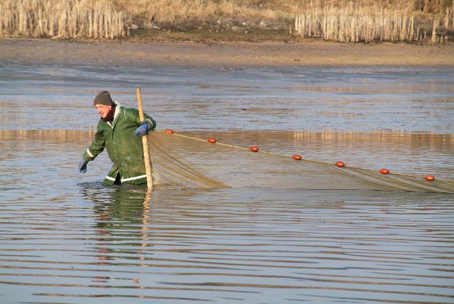 Fischer mit Netz im Engelbrechtsteich