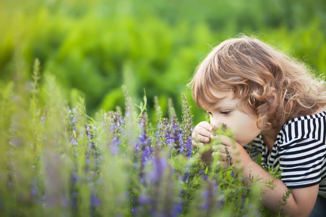 Mädchen riecht an Blumen.