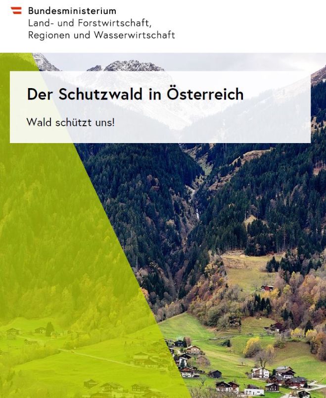 Der Schutzwald in Österreich
