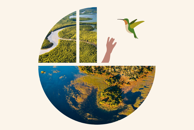 Weltfeuchtigkeitstag 2024 Logoillustration. Es ist ein rundes Logo mit zwei Fotos von Feuchtgebieten zu sehen mit einer illustrierten Hand die nach einem Vogel greift.